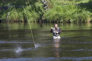 fiske i sjö flugfiske 3 mellan